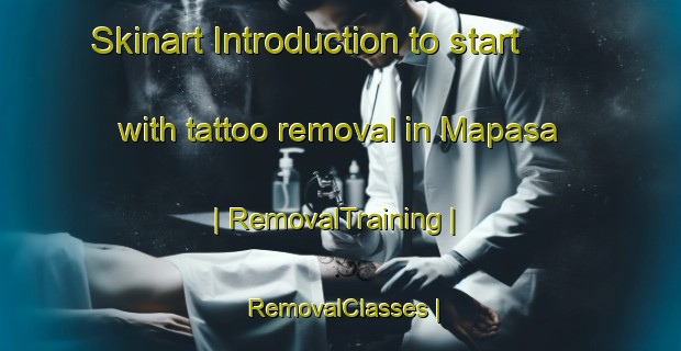 Skinart Introduction to start with tattoo removal in Mapasa | RemovalTraining | RemovalClasses | SkinartTraining-the Democratic Republic of the Congo